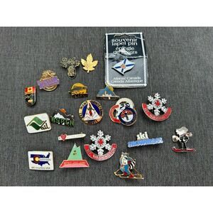 Vintage Ski Resort  Travel Canada  USA Enamel Souvenir Brooch Pin Collection Lot